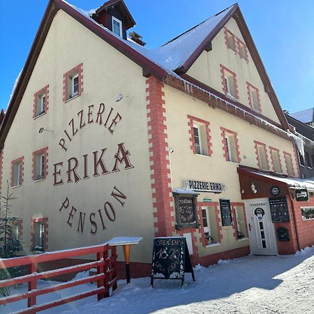 Hotel Penzion Erika à Boží Dar Extérieur photo