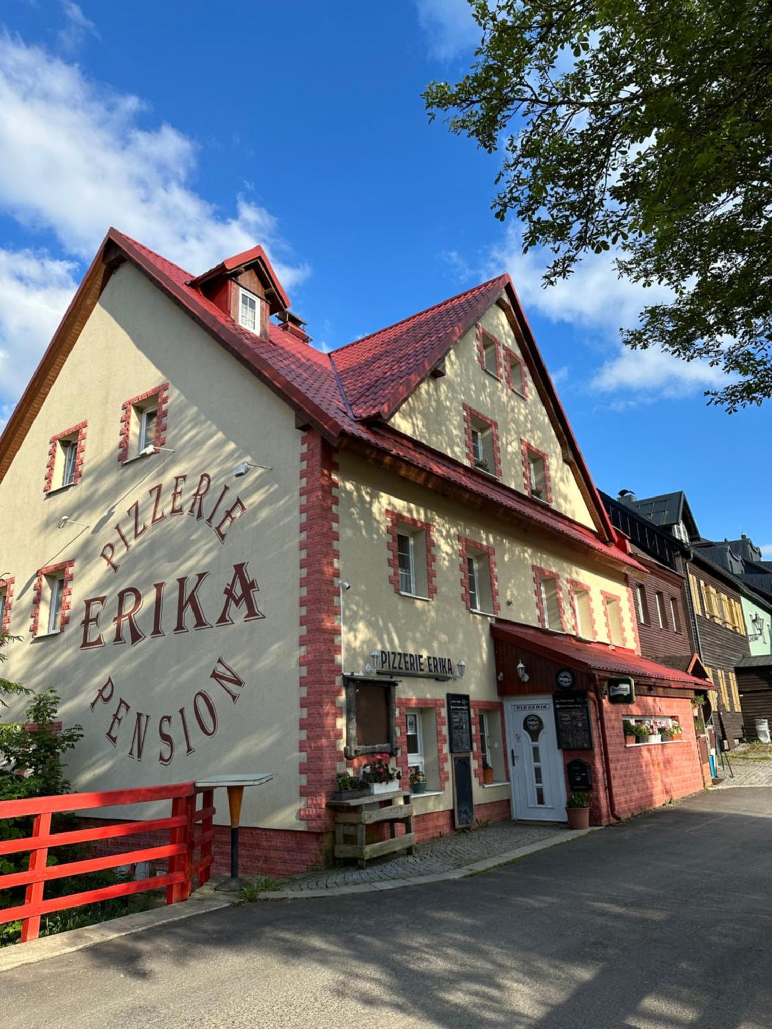 Hotel Penzion Erika à Boží Dar Extérieur photo