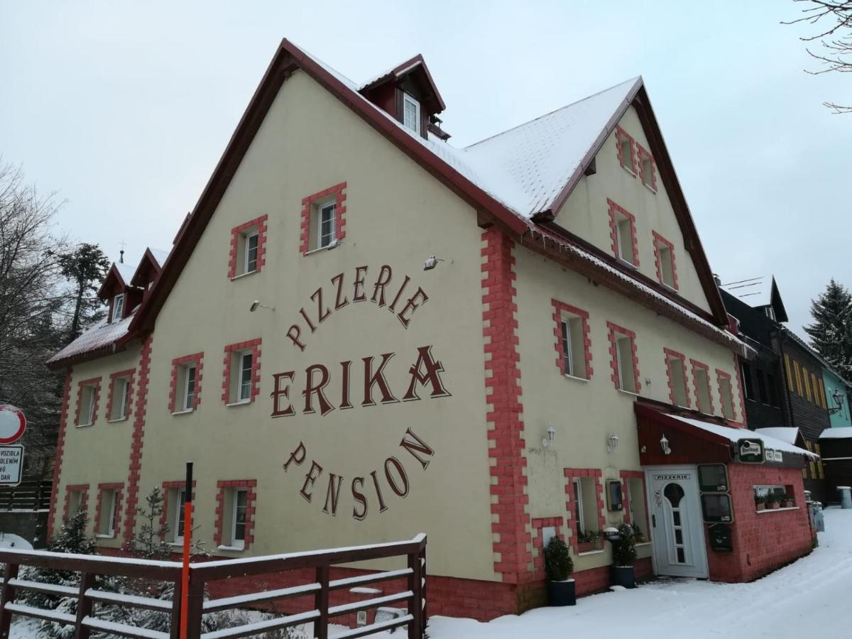 Hotel Penzion Erika à Boží Dar Extérieur photo